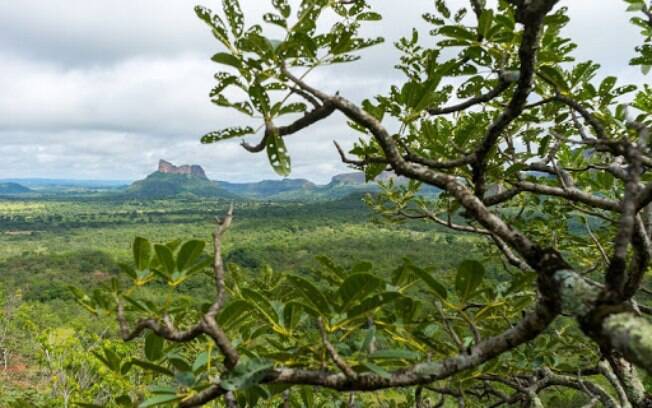 cerrado