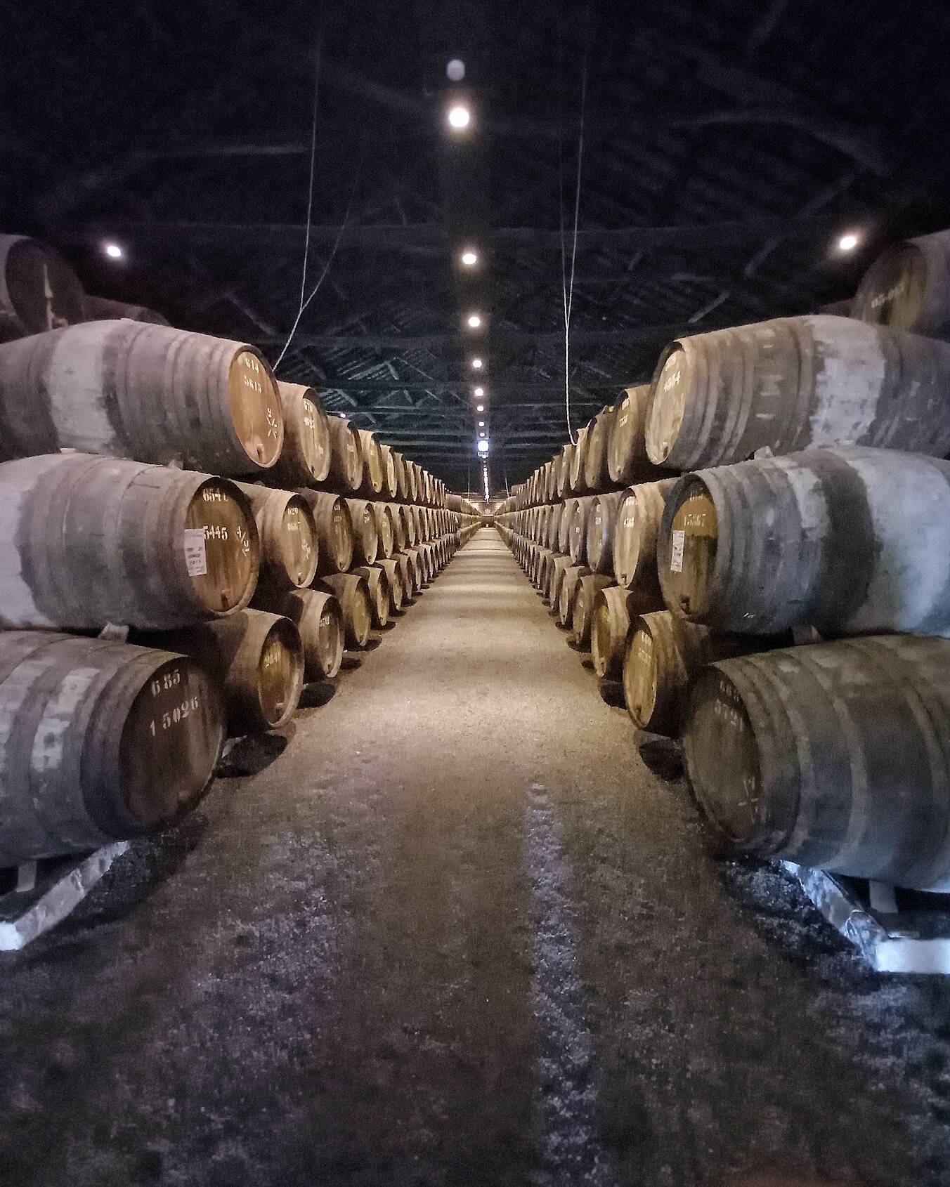 Armazém da marca Taylor's, uma das principais na produção de vinho do Porto. Foto: Camila Cetrone