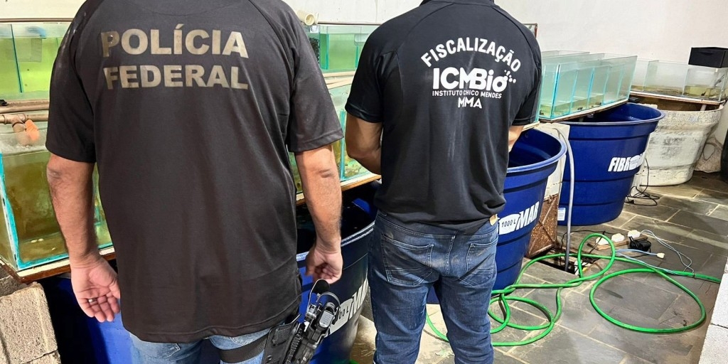 © Polícia
