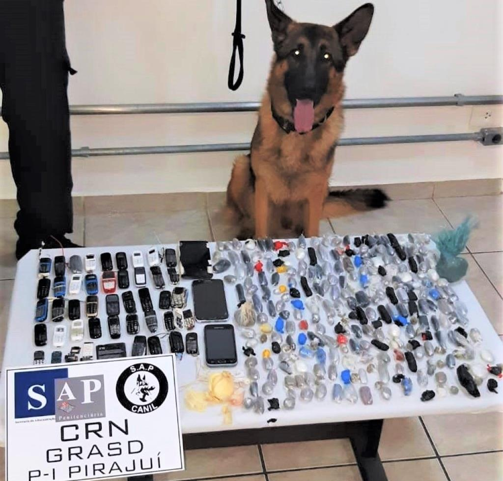 Detentos levam drogas no estômago e até prótese em Bauru; cães ajudam busca