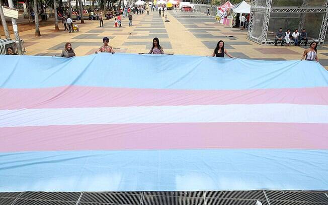 Bandeira nas cores azul, branco e rosa representam a comunidade trans