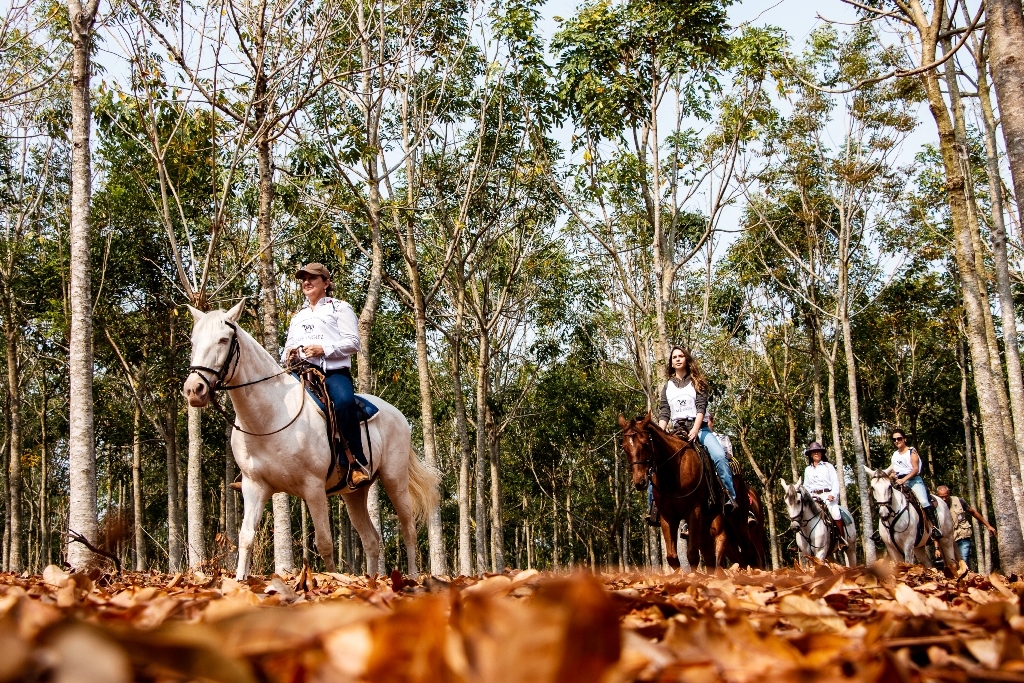 Garça lança Cavalgada da Primavera com ação social para entidades