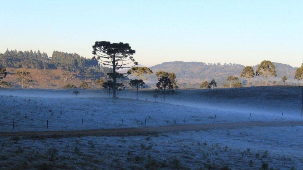 Frio no outono argentino pode indicar como será inverno no Brasil Frio no outono argentino pode indicar como será inverno no Brasil