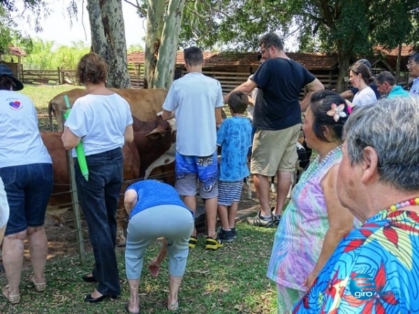 Casa do Caminho visita Fazendinha com Amigos do Bar