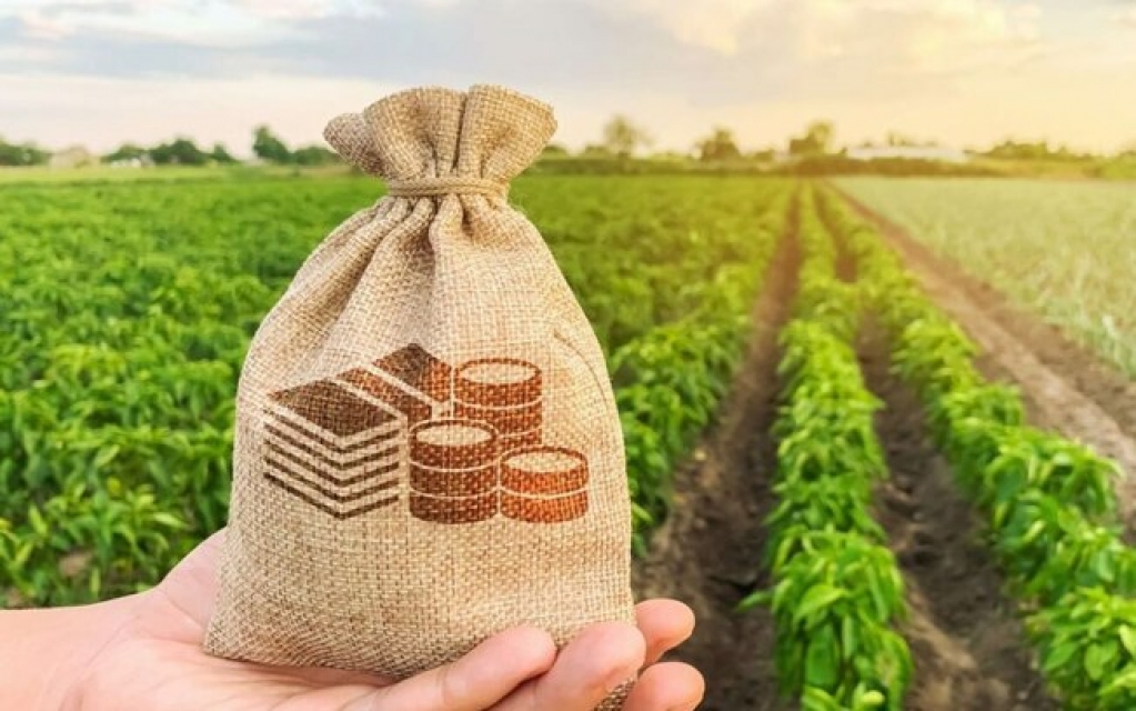 Exportações do agronegócio atingem US$ 11,3 bi em julho e tem salto de 15,8%