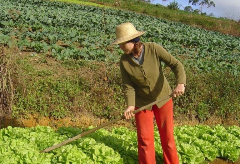 Mudanças no Proagro excluem pequenos e médios produtores e geram incerteza no campo