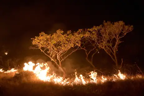 20-02-2024 Queimadas e incêndios em Amajari – Roraima - Foto Jader Souza/AL Roraima