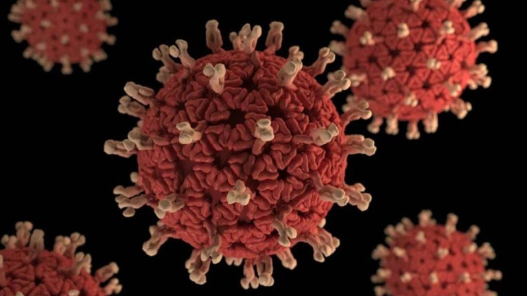 Genética protege 2 a cada 5 pessoas da Covid-19, mostra estudo