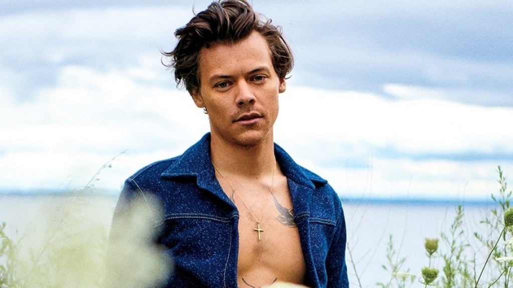 Harry Styles negociou exibição de seu pênis em cena de nudez de filme Harry Styles negociou exibição de seu pênis em cena de nudez de filme