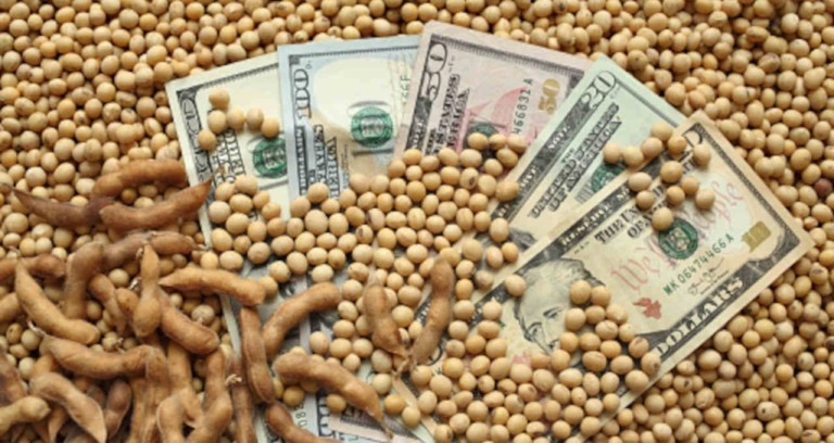 Preços da soja em alta em Mato Grosso dá novo ânimo aos produtores
