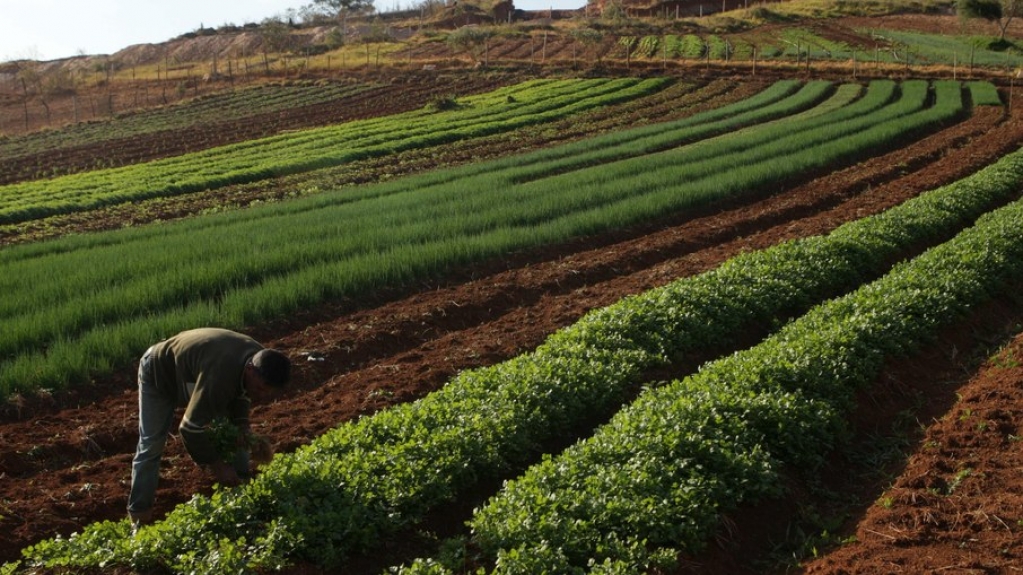 Aumento nos preços de commodities deixa produção de alimentos mais cara Aumento nos preços de commodities deixa produção de alimentos mais cara