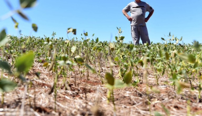 Meteorologia prevê um outubro complicado para a agricultura