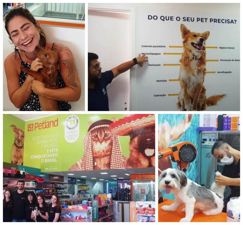 Petland traz conceito em atendimento de saúde e bem estar de animais