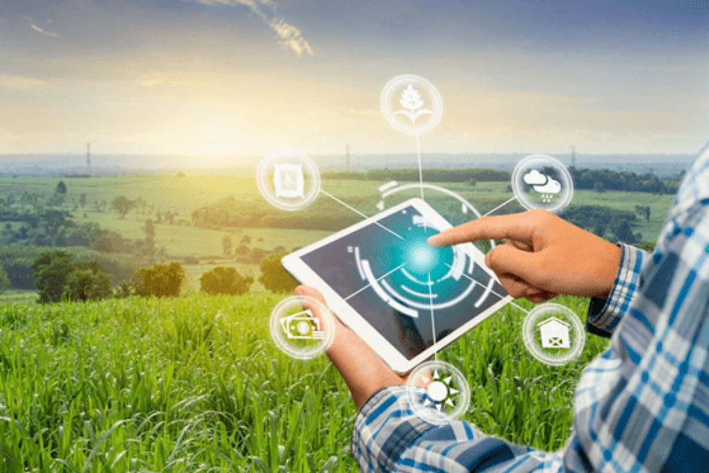 Levantamento mostra que acesso precário à internet limita o potencial do campo Levantamento mostra que acesso precário à internet limita o potencial do campo