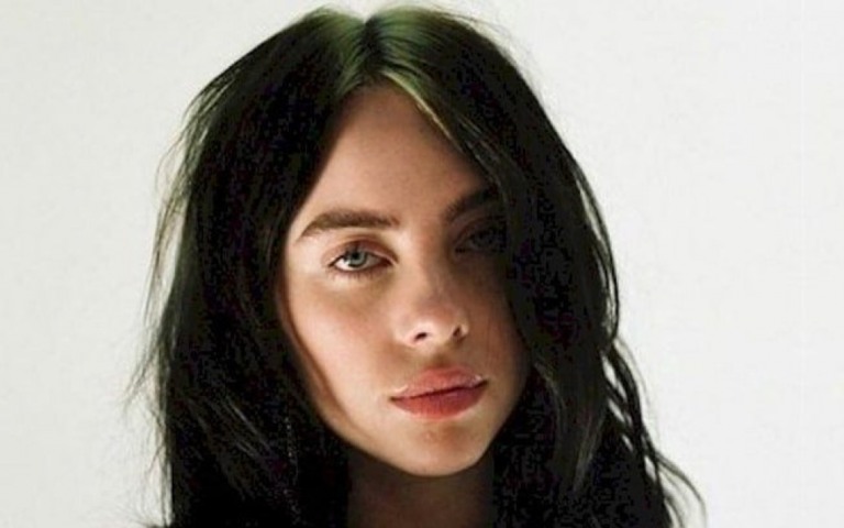 Billie Eilish interrompe show para ajudar fã angustiado