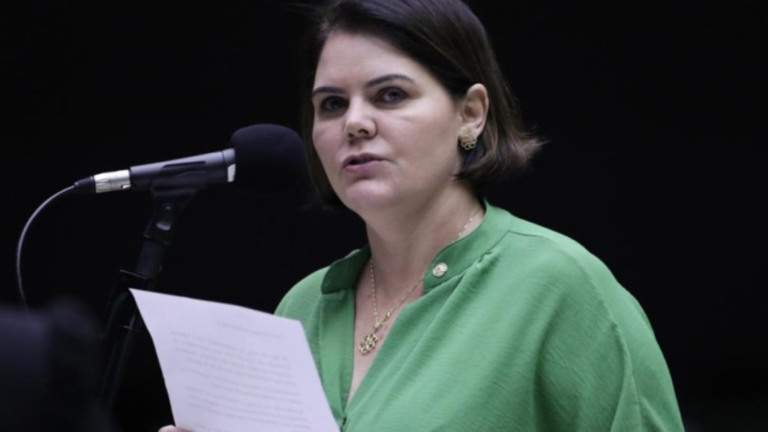 Bruno Spada/Câmara dos Deputados Deputada Coronel Fernanda teria organizado caravanas para Brasília, segundo STF