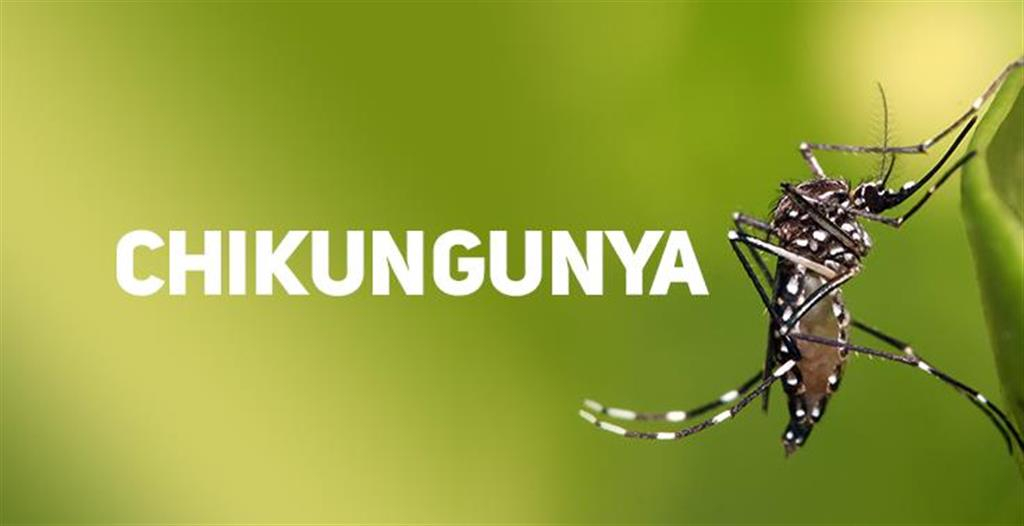 Saúde alerta para prevenção após caso de chikungunya em Marília