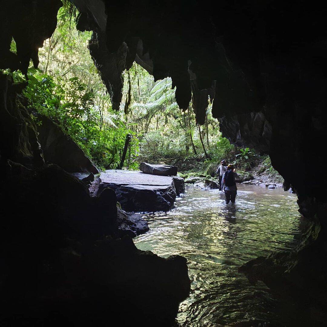 PETAR - Parque Estadual Turístico do Alto Ribeira. Foto: Instagram/@entreparquesbr