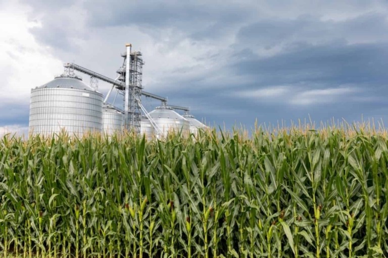 Abril começa ainda impactado pelas projeções do USDA