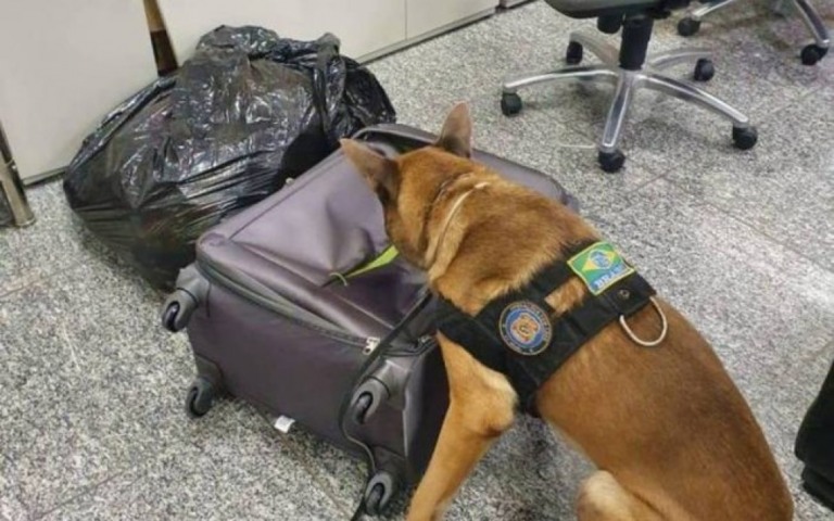 Mulher é presa com 3kg de cocaína ao tentar embarcar em aeroporto do Rio