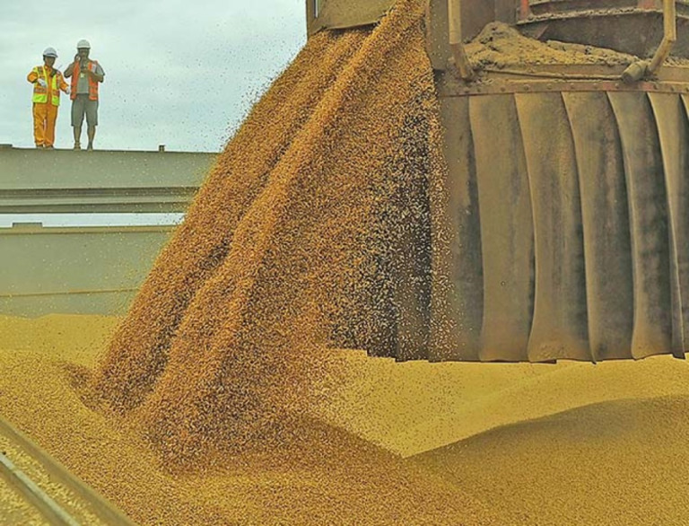 Exportações do agronegócio de Minas Gerais somam US$ 11,6 bilhões em 9 meses