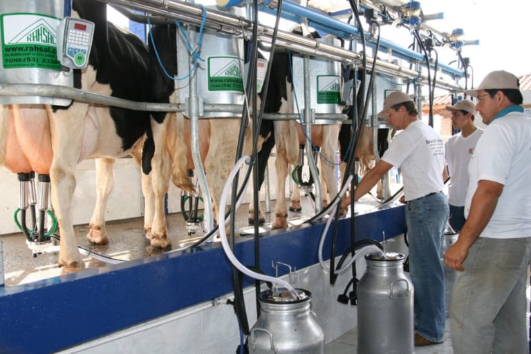 Preço do leite já caiu 30% em 2023. Governo adota medidas emergenciais para socorrer produtores