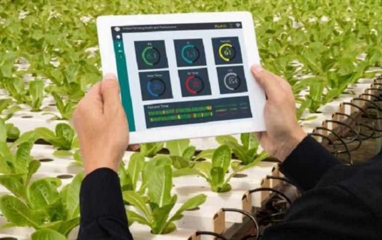 Conab vai ampliar o monitoramento agrícola em todo Brasil