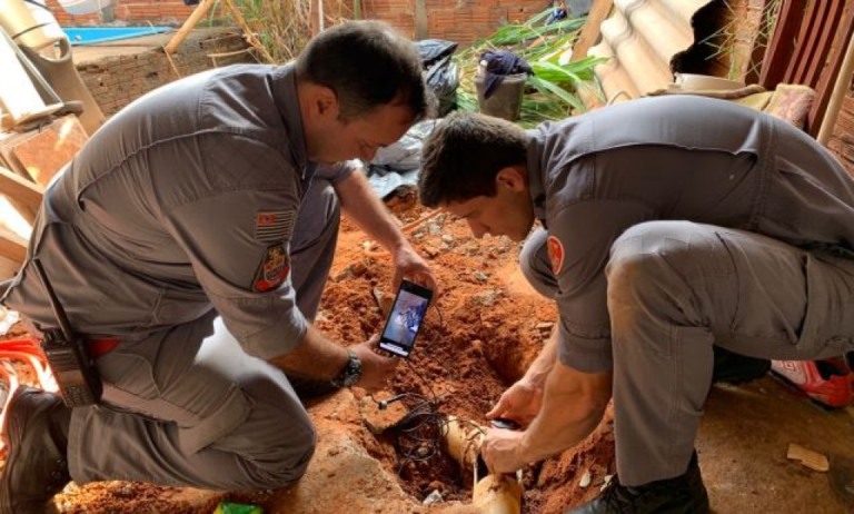 Bombeiros resgatam filhote de cachorro preso em encanamento na zona sul; vídeo