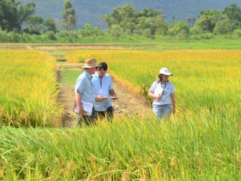 Epagri faz balanço da situação agrícola de Santa Catarina