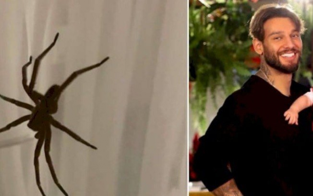 Lucas Lucco e esposa encontram aranha gigante no berço do filho