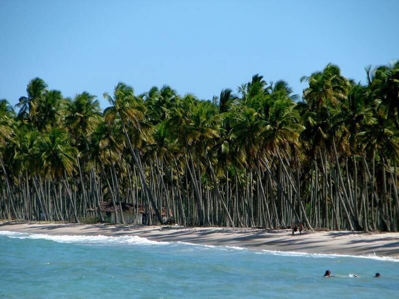 Ilha de Boipeba