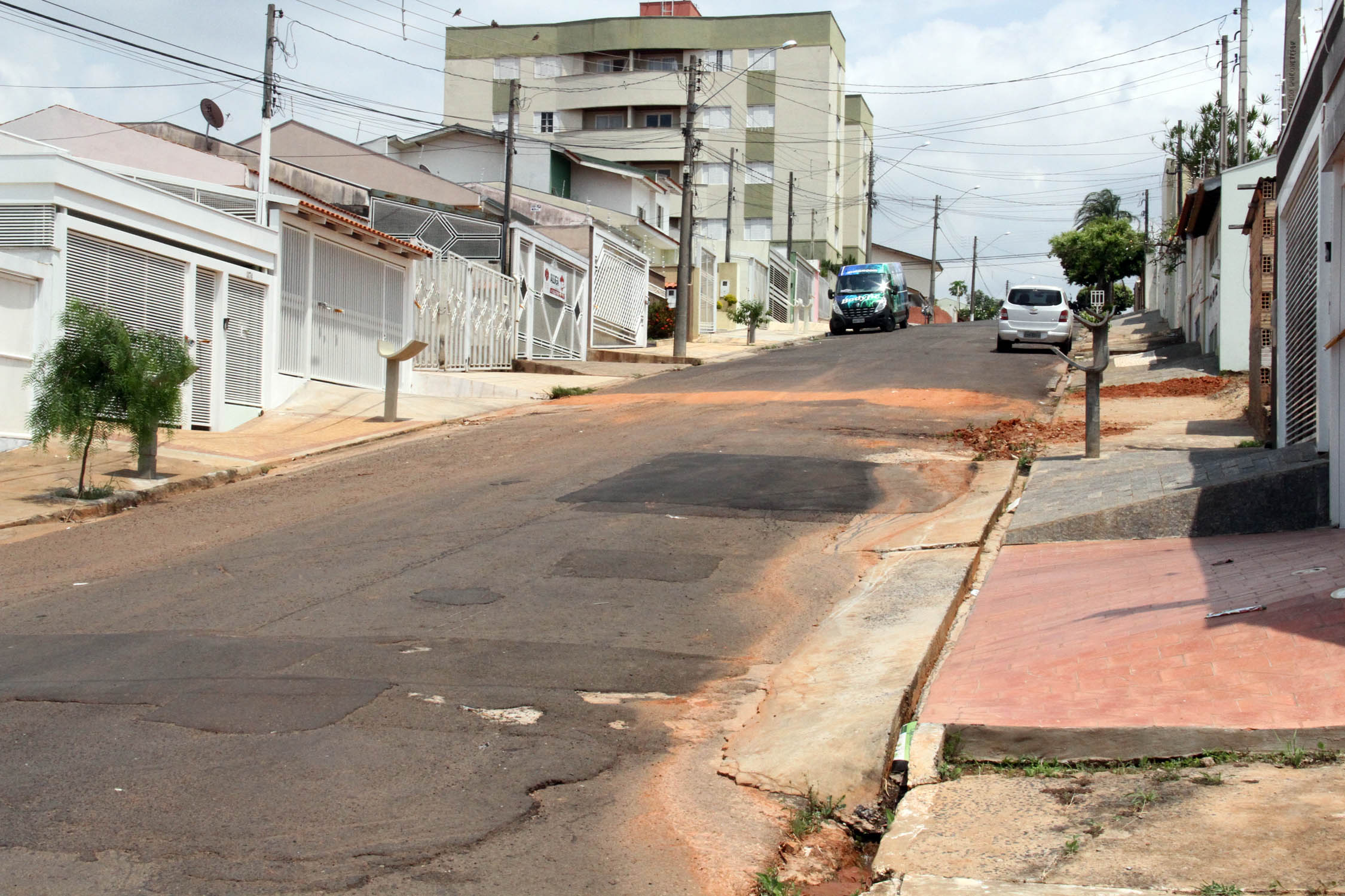 Juiz nega liminar em ação para plantio de árvores