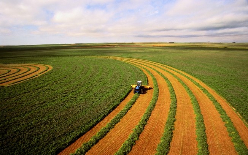 BTG Pactual investe R$ 950 mi no agronegócio, apostando no crescimento do setor