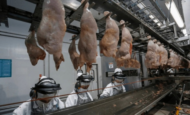 Brasil se torna o primeiro país do mundo a exportar frango para Israel