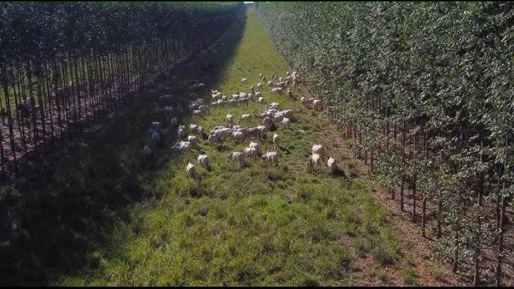 3º Fórum Planeta Campo 2023 será quinta em São Paulo 3º Fórum Planeta Campo 2023 será quinta em São Paulo