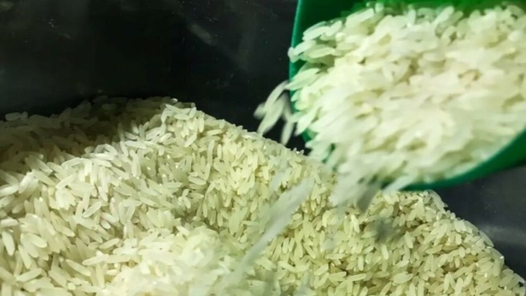 Henrique Neri Conab suspende leilão para compra de 104 mil toneladas de arroz polido