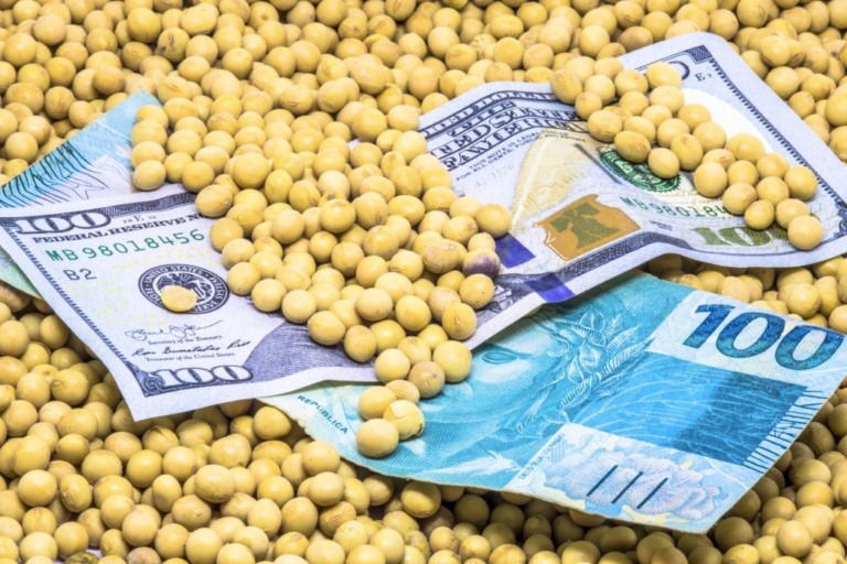 Brasil domina mercado de milho e soja na China, consolidando liderança como gigante do agronegócio