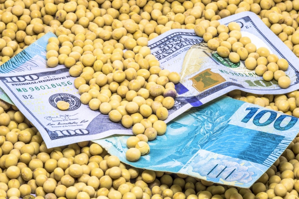 Brasil domina mercado de milho e soja na China, consolidando liderança como gigante do agronegócio Brasil domina mercado de milho e soja na China, consolidando liderança como gigante do agronegócio