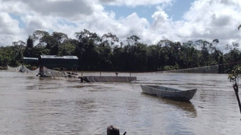 Terra Yanomami: base federal em Roraima é alvo de ataque a tiros