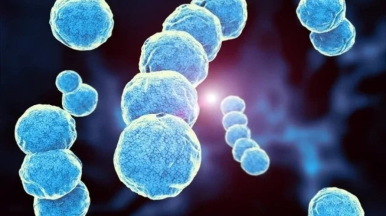 Strep A: o que se sabe sobre a bactéria que já matou 16 crianças