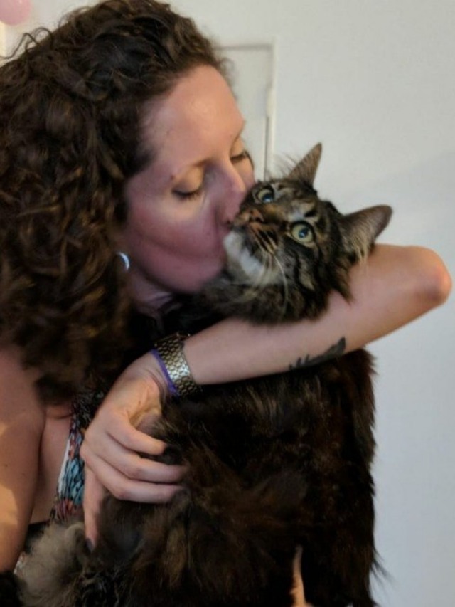 Como é ser uma babá de pet? Profissionais contam experiências