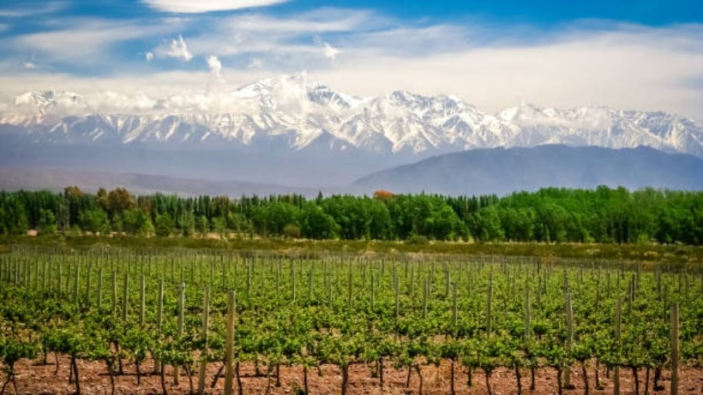 Roteiro do vinho em Mendoza: saiba como chegar, quando ir e o que fazer