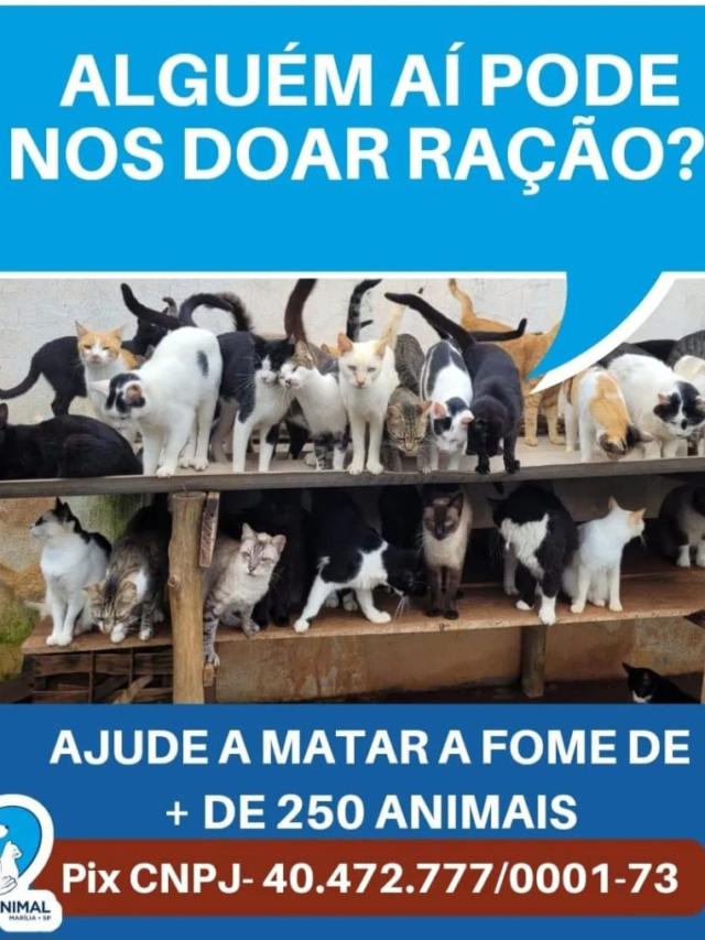 ONG de Marília pede ajuda para alimentar 250 animais