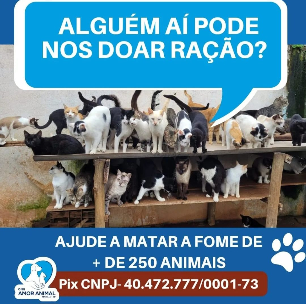 ONG de Marília pede ajuda para alimentar 250 animais