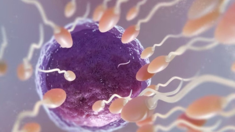 FreePik Ausência de espermatozoides? Saiba o que é a Azoospermia