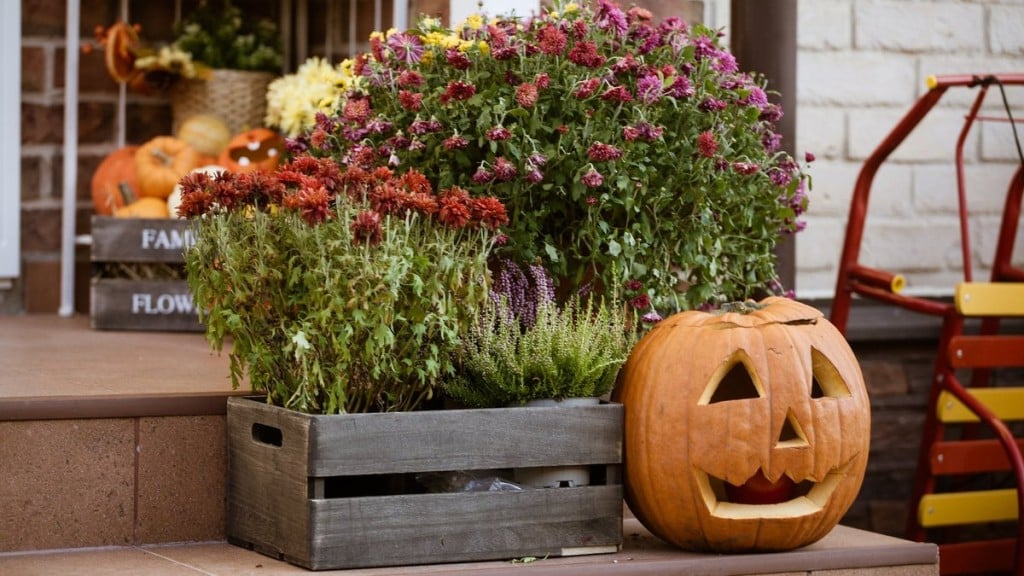 Pexels/Sergey Platonov Veja dicas de como usar flores na decoração de Halloween