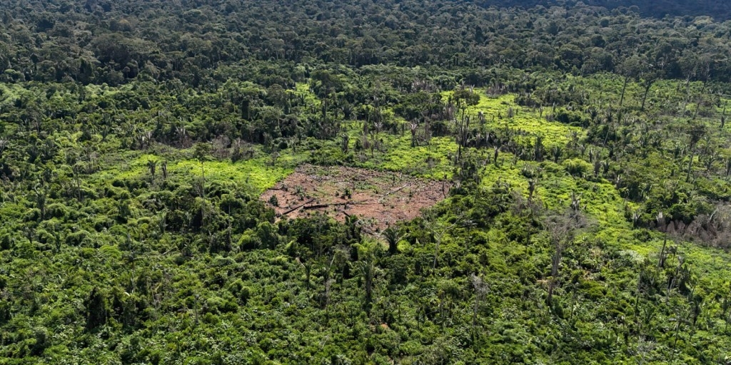 © Lideranças karipuna/