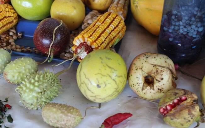 alimentos