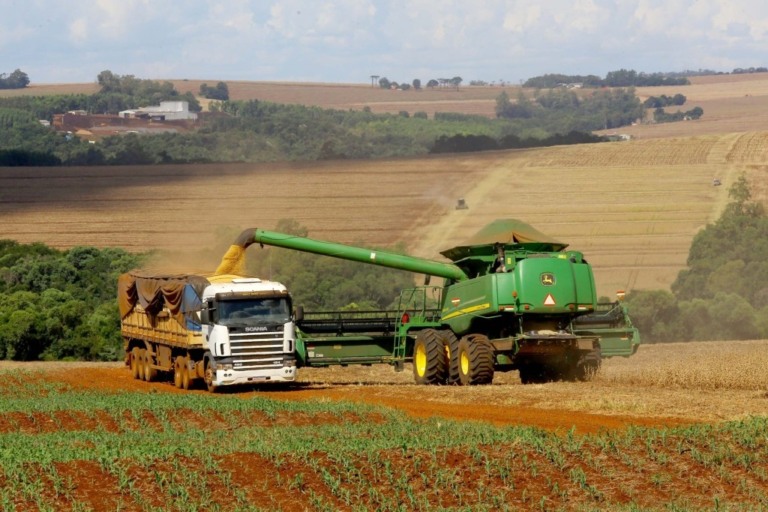 Produtor rural tem que declarar imposto de renda até 31 de maio. Veja aqui as diferenças