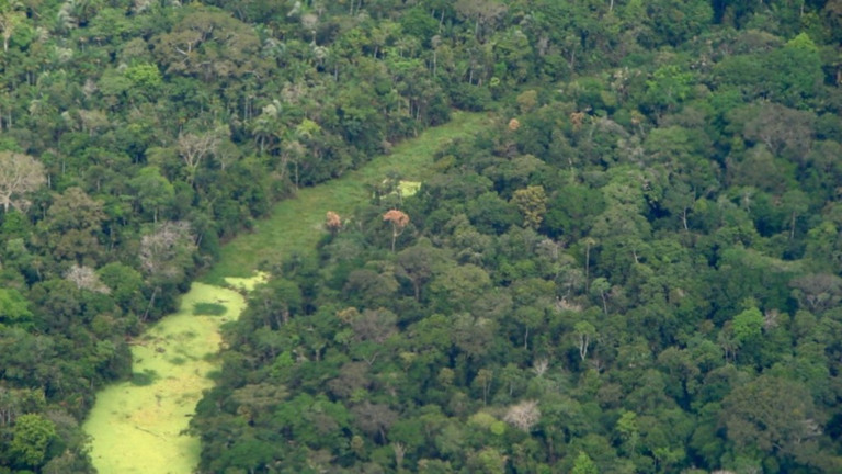 Reprodução/Flickr Uma a cada cinco mortes violentas registradas no Brasil ocorreu na Amazônia Legal